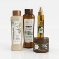 KIT POTENCIALIZADOR ANYELUZ